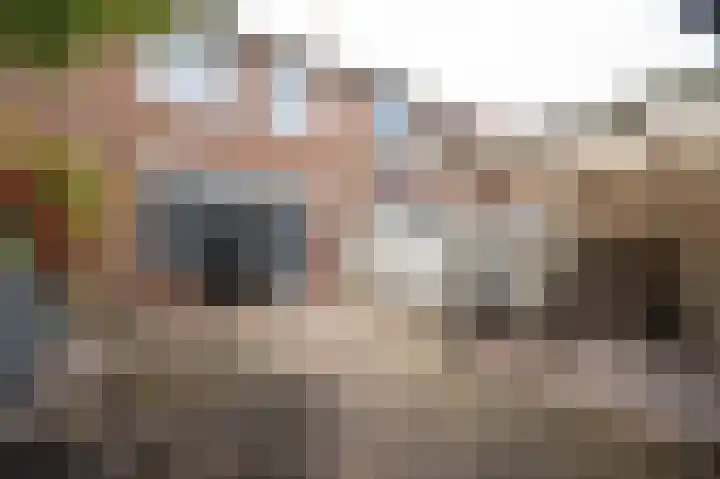 Lisdoddelaan 68 Leerdam thumbnail 25