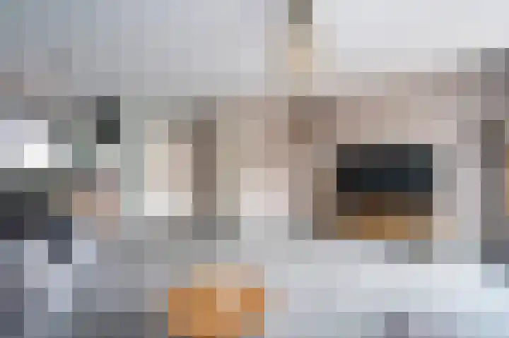 Lisdoddelaan 68 Leerdam thumbnail 7
