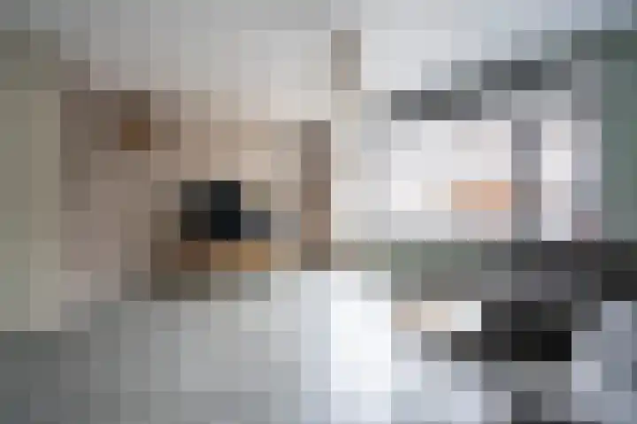 Lisdoddelaan 68 Leerdam thumbnail 8