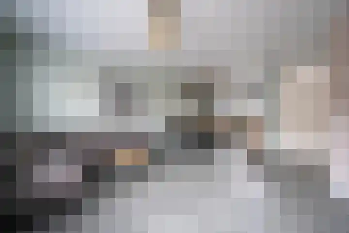 Lisdoddelaan 68 Leerdam thumbnail 9
