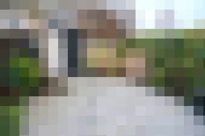 Lisdoddelaan 69 Leerdam thumbnail 11