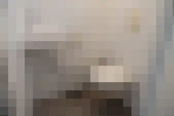 Lisdoddelaan 69 Leerdam thumbnail 4