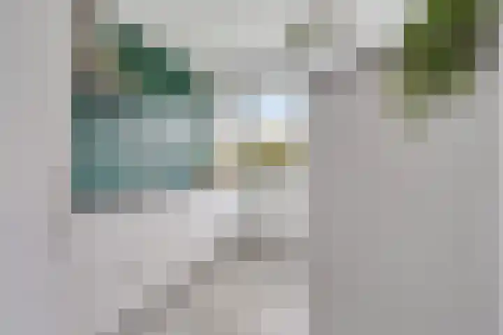 Lisdoddelaan 8 3 Arnhem thumbnail 12