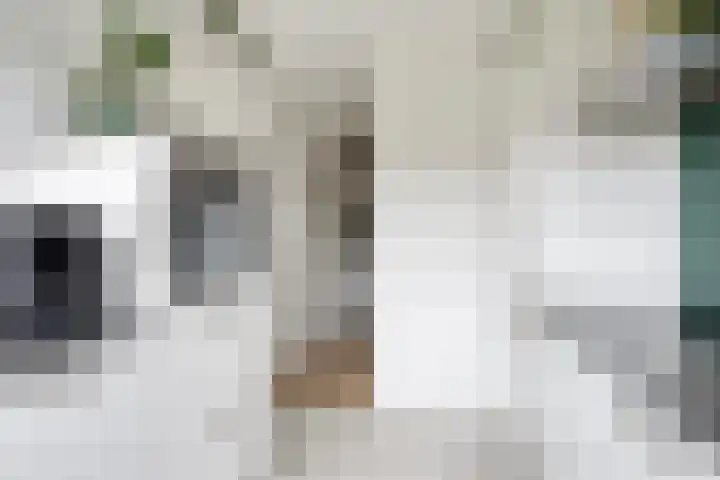 Lisdoddelaan 8 3 Arnhem thumbnail 15