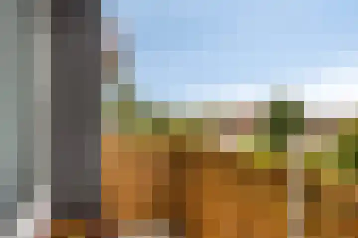 Lisdoddelaan 8 3 Arnhem thumbnail 22