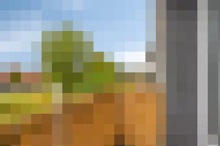 Lisdoddelaan 8 3 Arnhem thumbnail 23