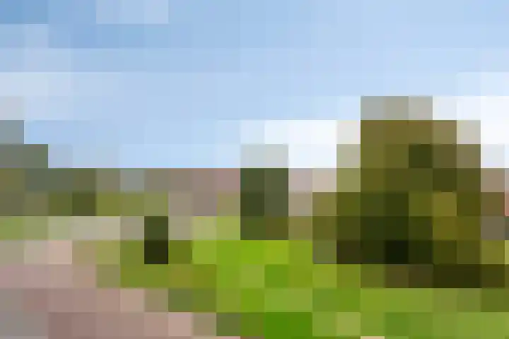 Lisdoddelaan 8 3 Arnhem thumbnail 24