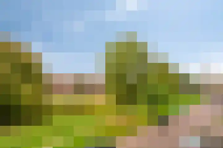 Lisdoddelaan 8 3 Arnhem thumbnail 25