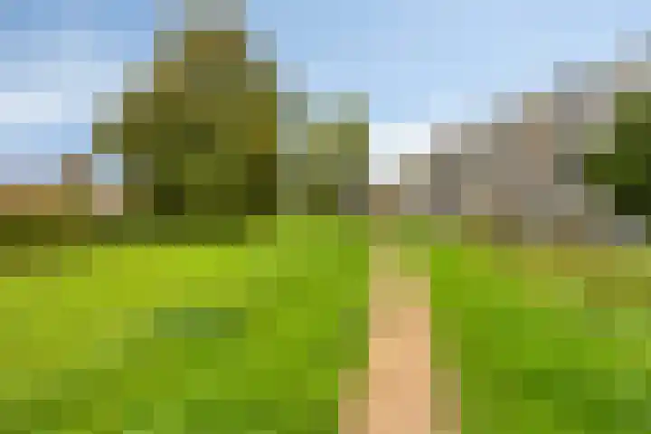 Lisdoddelaan 8 3 Arnhem thumbnail 26
