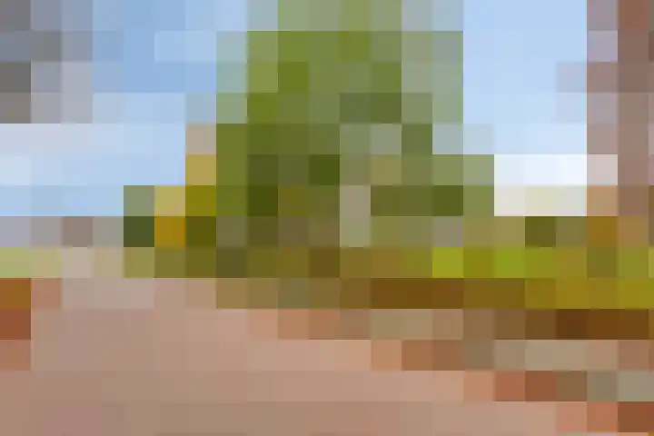 Lisdoddelaan 8 3 Arnhem thumbnail 27