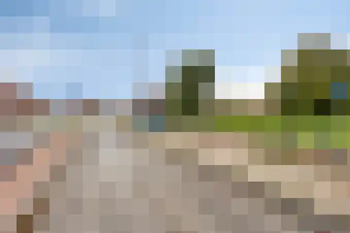 Lisdoddelaan 8 3 Arnhem thumbnail 28