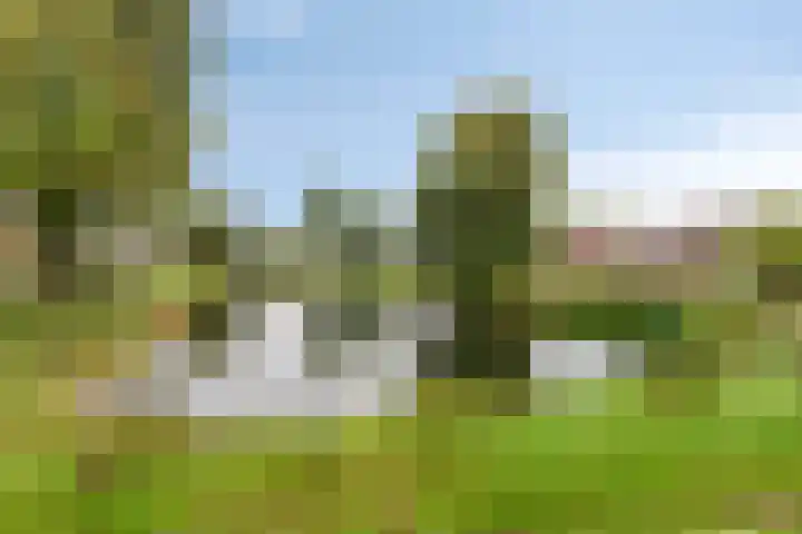 Lisdoddelaan 8 3 Arnhem thumbnail 29