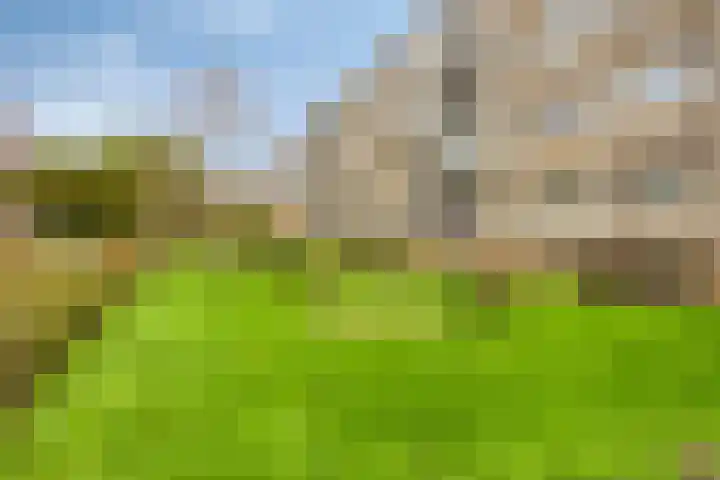 Lisdoddelaan 8 3 Arnhem thumbnail 33