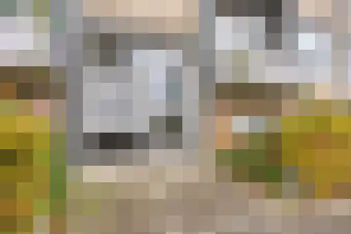 Lisdoddelaan 8 3 Arnhem thumbnail 5