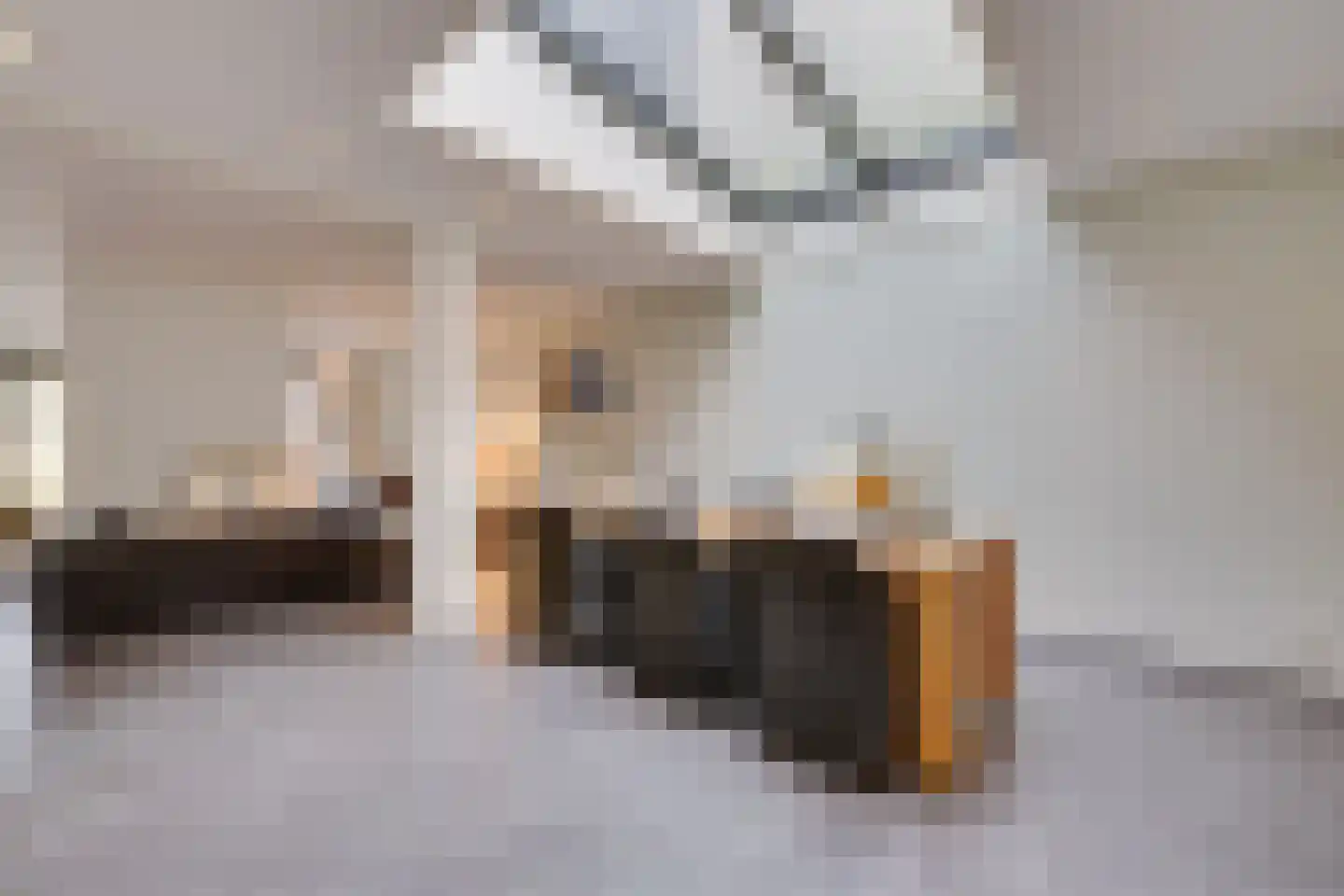 Lisdoddelaan 91 Amsterdam thumbnail 13