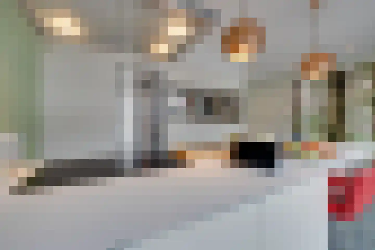 Lisdoddelaan 91 Amsterdam thumbnail 17