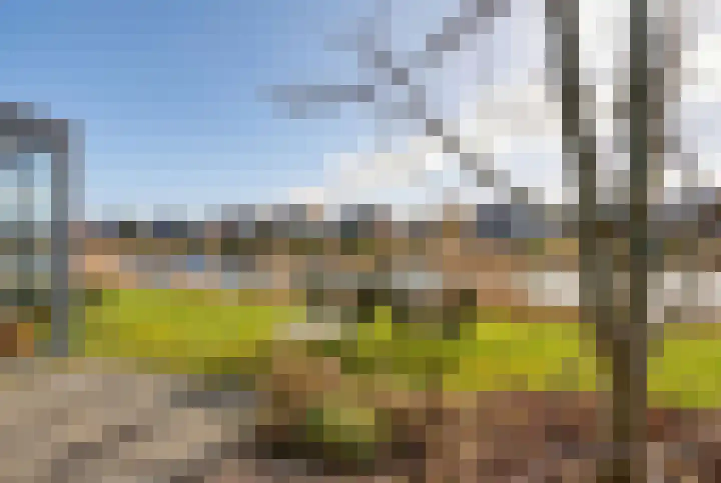 Lisdoddelaan 91 Amsterdam thumbnail 17