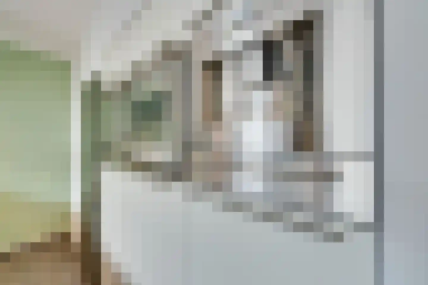 Lisdoddelaan 91 Amsterdam thumbnail 19