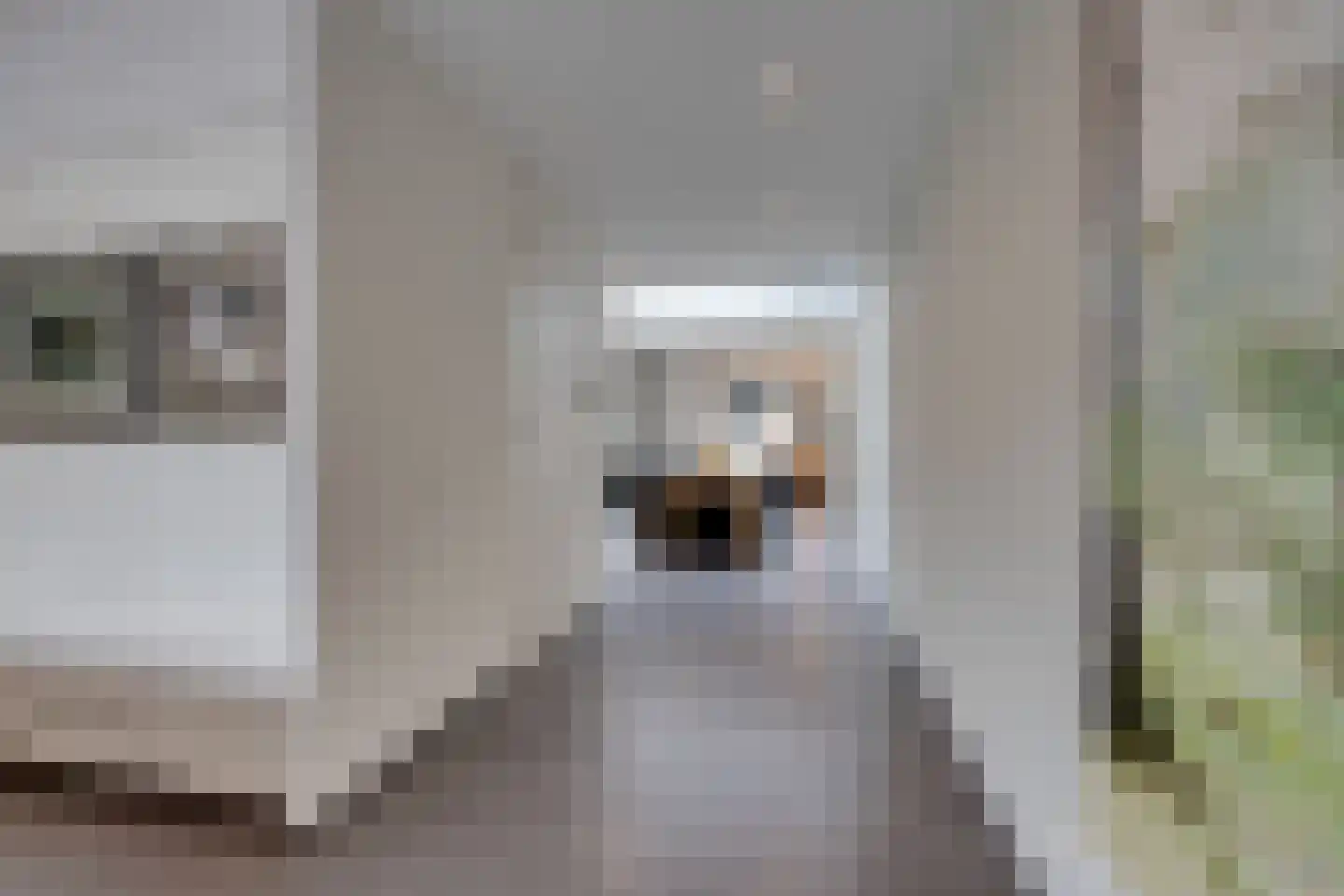 Lisdoddelaan 91 Amsterdam thumbnail 20