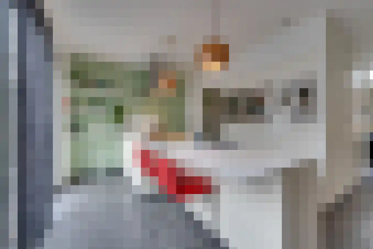 Lisdoddelaan 91 Amsterdam thumbnail 23