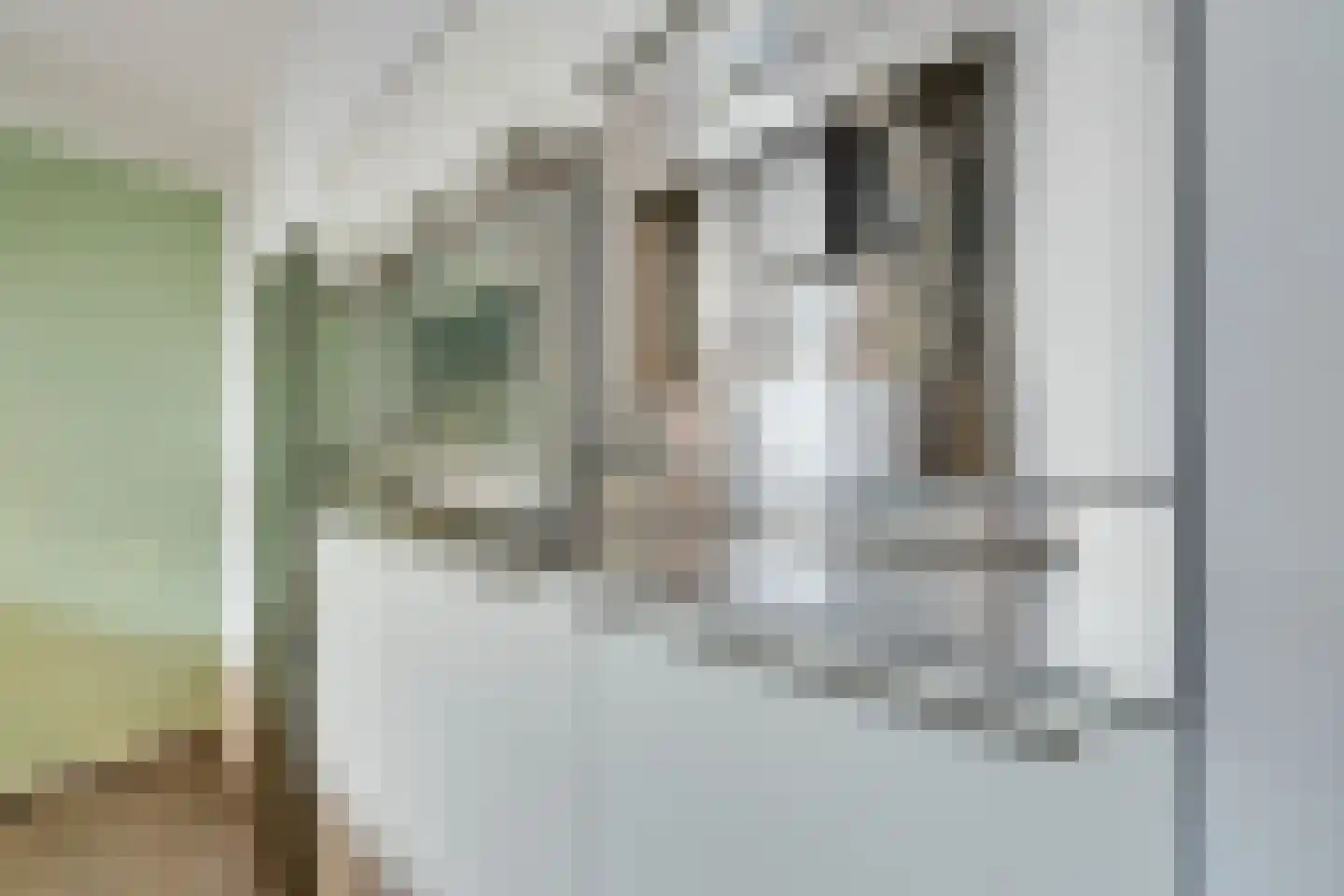 Lisdoddelaan 91 Amsterdam thumbnail 25