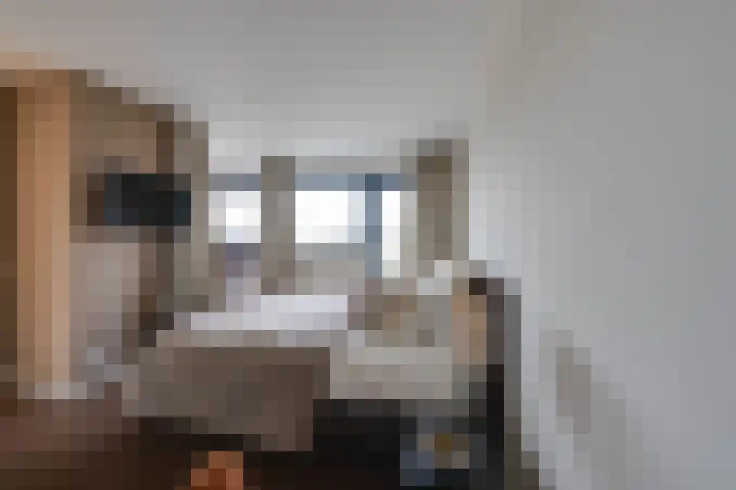 Lisdoddelaan 91 Amsterdam thumbnail 28