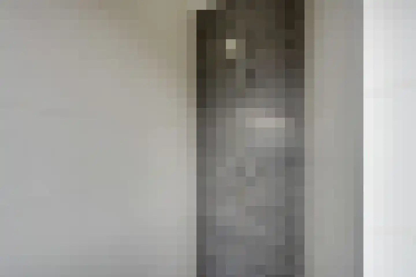 Lisdoddelaan 91 Amsterdam thumbnail 38