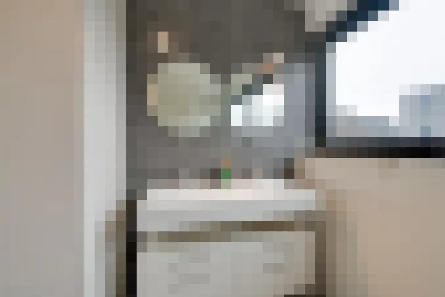 Lisdoddelaan 91 Amsterdam thumbnail 41