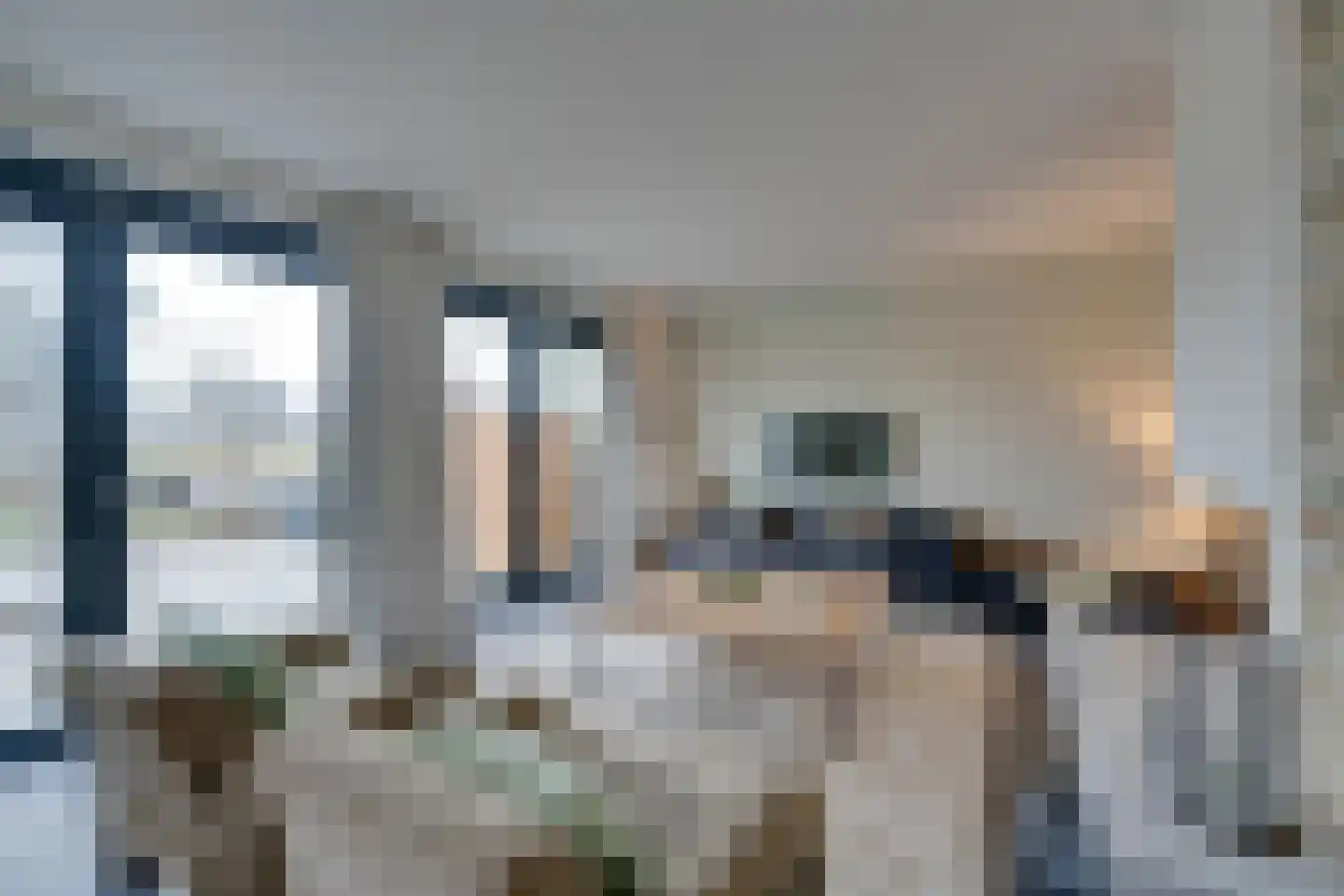 Lisdoddelaan 91 Amsterdam thumbnail 8