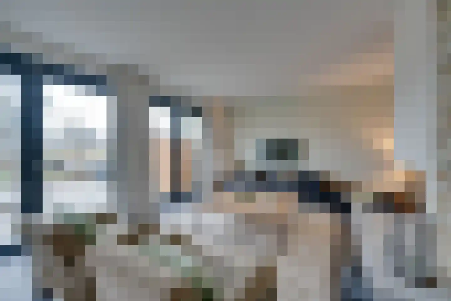 Lisdoddelaan 91 Amsterdam thumbnail 8