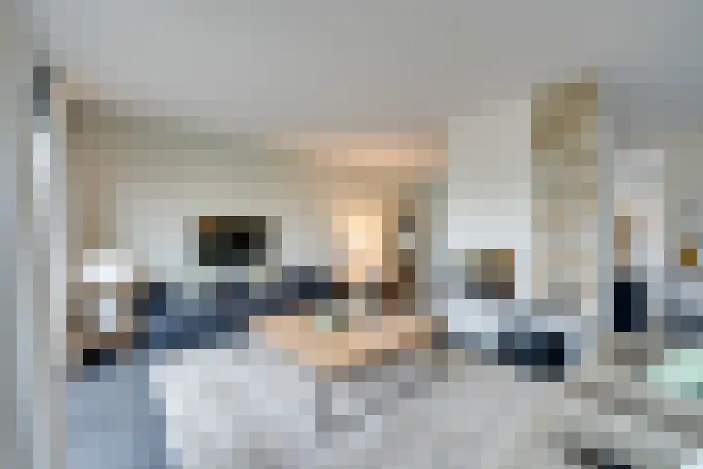 Lisdoddelaan 91 Amsterdam thumbnail 9