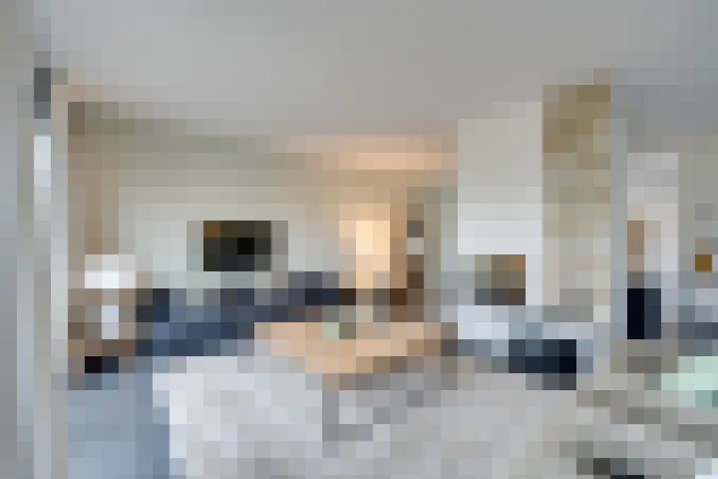 Lisdoddelaan 91 Amsterdam thumbnail 9