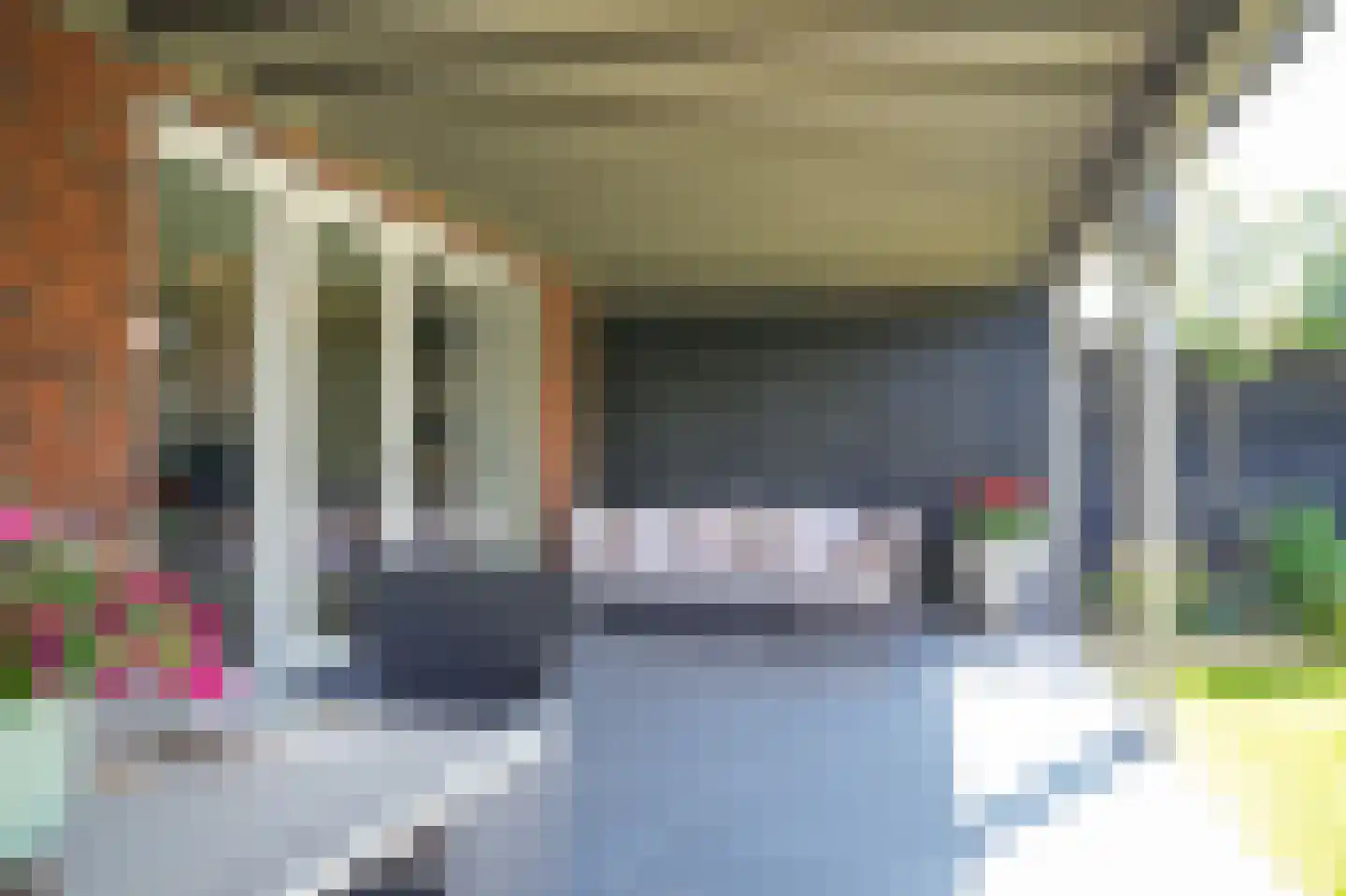 Lisdoddestraat 12 Beneden-Leeuwen thumbnail 6