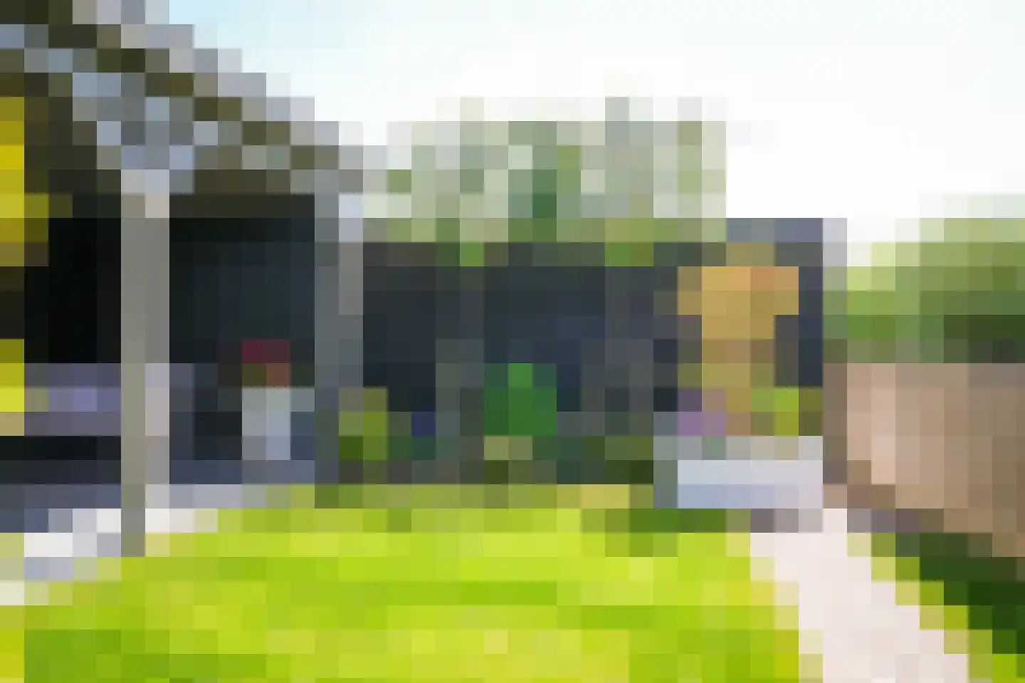 Lisdoddestraat 12 Beneden-Leeuwen thumbnail 7