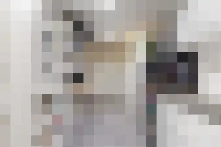 Lisdoddestraat 2 Kudelstaart thumbnail 16