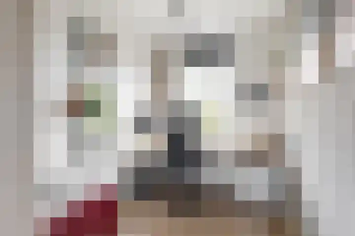 Lisdoddestraat 2 Kudelstaart thumbnail 18