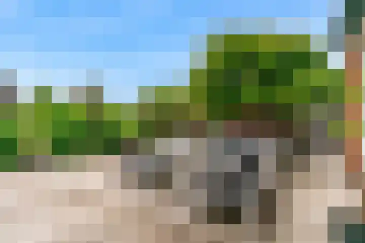 Lisdoddestraat 2 Kudelstaart thumbnail 32