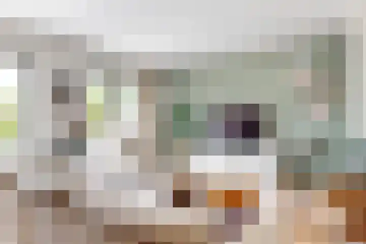 Lisdoddestraat 2 Kudelstaart thumbnail 5