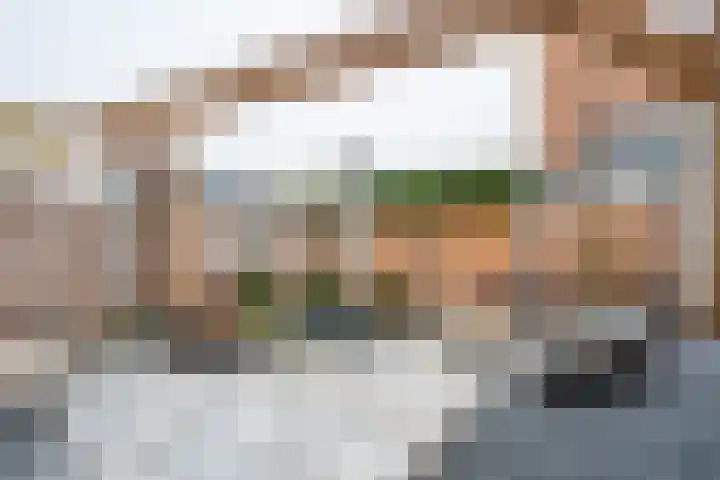 Lisdoddestraat 36 Lisserbroek thumbnail 16