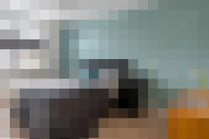 Lisdoddestraat 36 Lisserbroek thumbnail 20