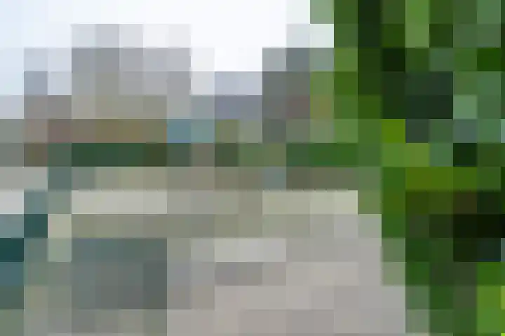 Lisdoddestraat 36 Lisserbroek thumbnail 31