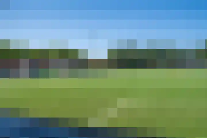 Lisdoddestraat 36 Lisserbroek thumbnail 37