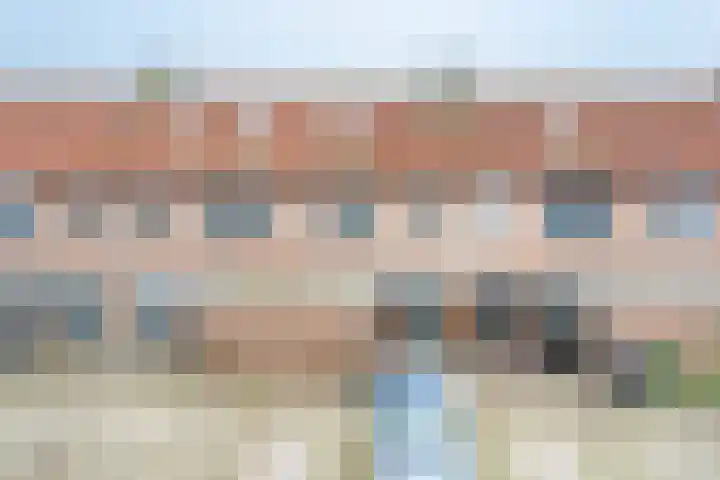 Lisdoddestraat 36 Lisserbroek thumbnail 4