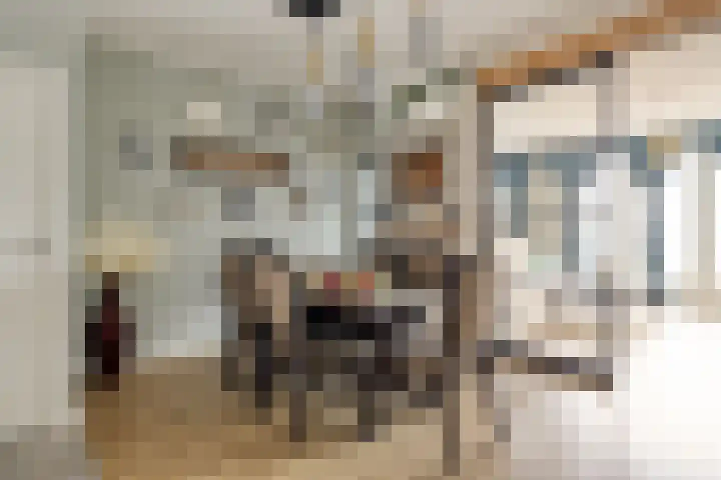 Lisdoddestraat 40 Kudelstaart thumbnail 8
