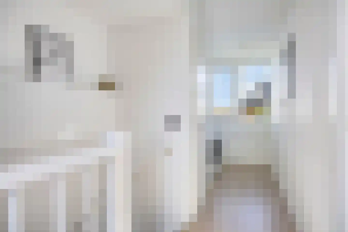 Lisdoddestraat 52 Lisserbroek thumbnail 31