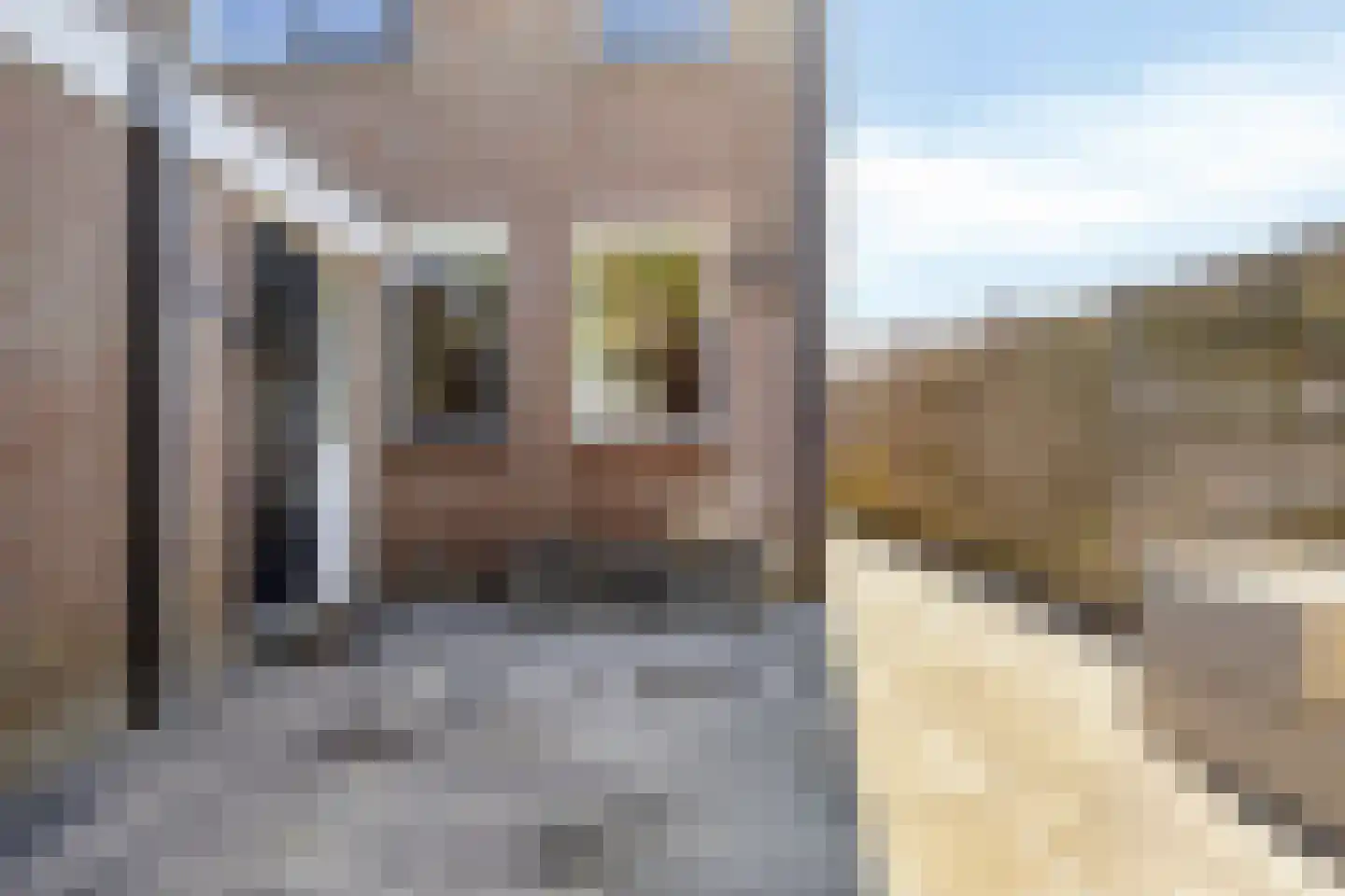 Lisdoddestraat 52 Lisserbroek thumbnail 36