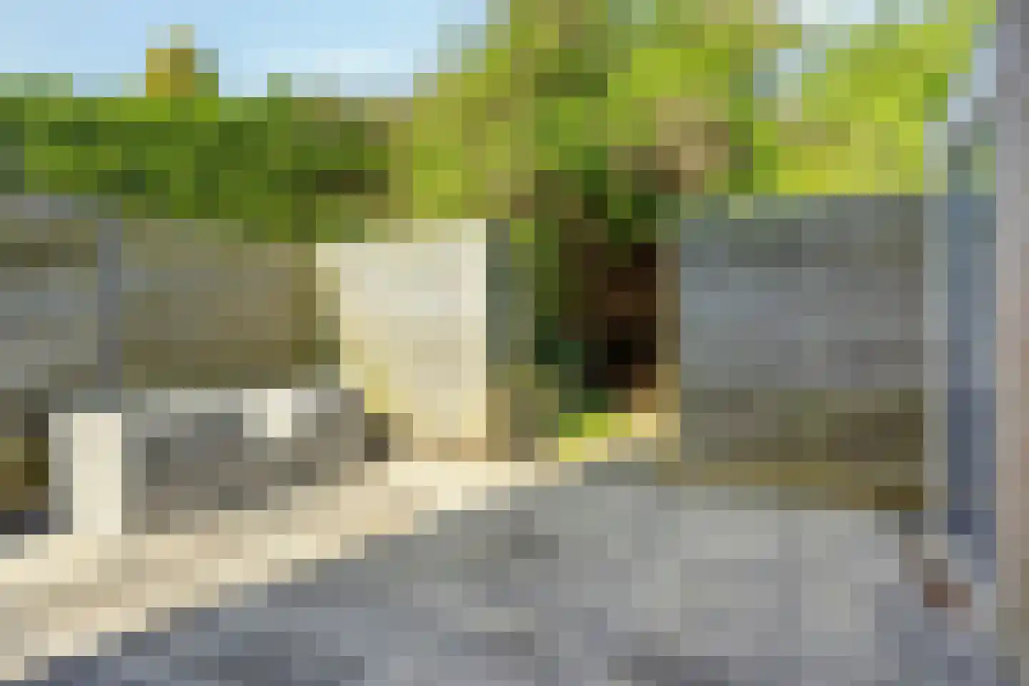 Lisdoddestraat 52 Lisserbroek thumbnail 38