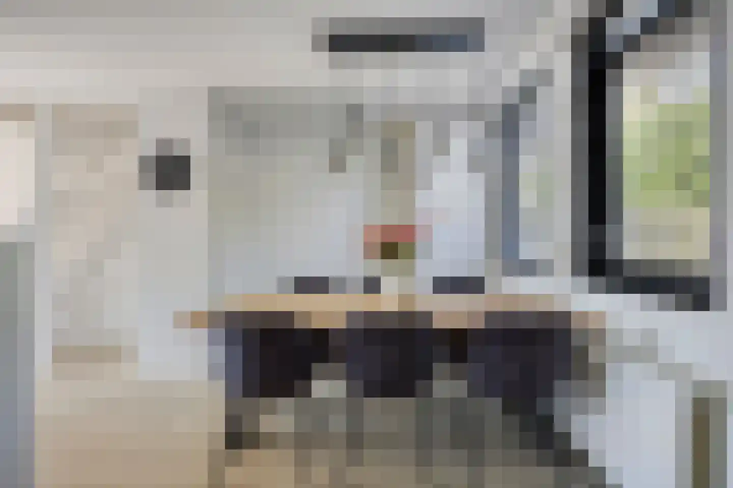 Lisdoddestraat 52 Lisserbroek thumbnail 7