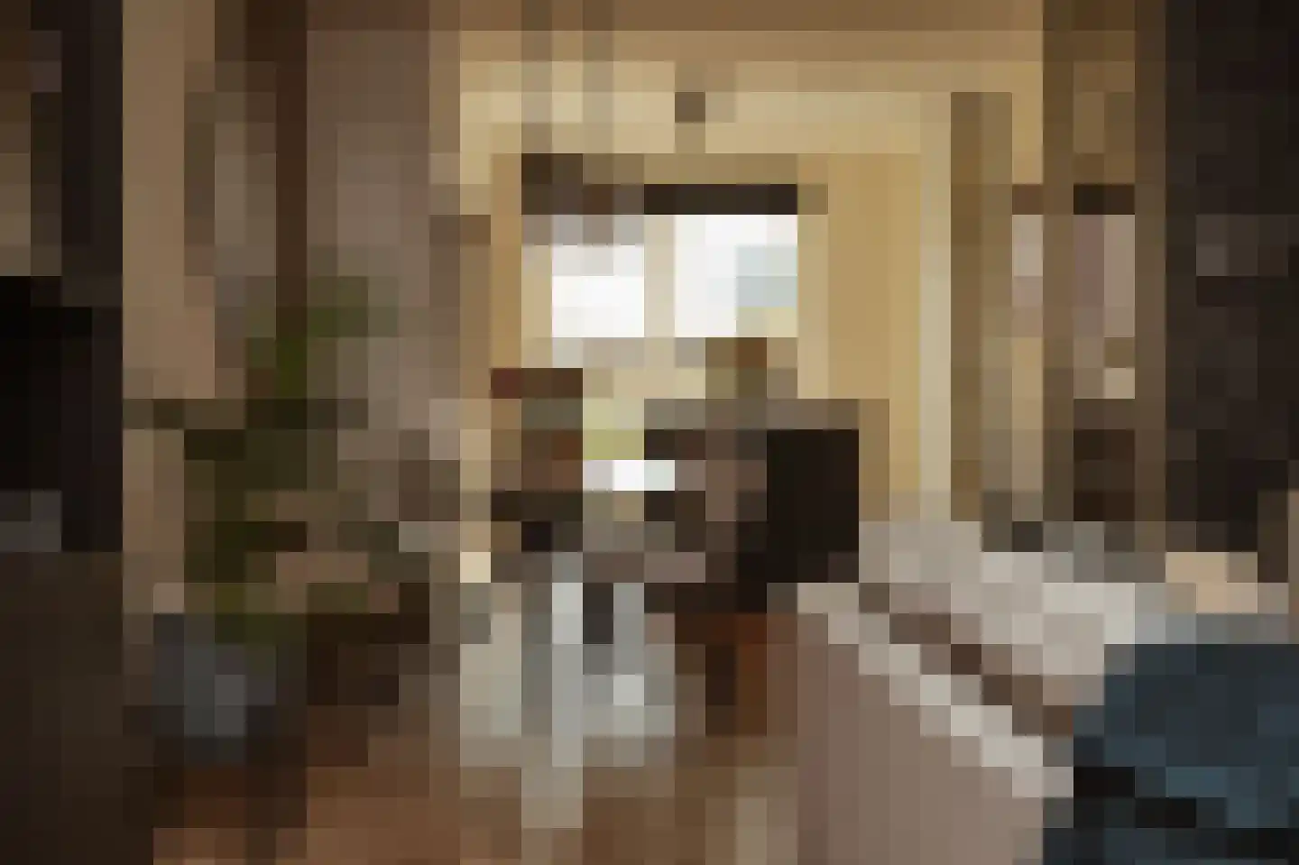Lisdoddestraat 63 Beneden-Leeuwen thumbnail 10
