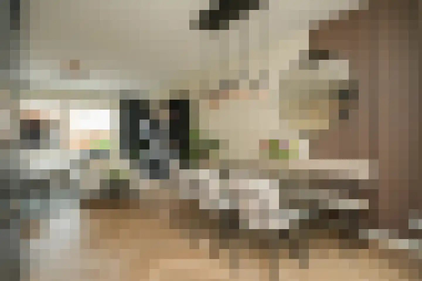 Lisdoddestraat 63 Beneden-Leeuwen thumbnail 14